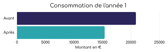 graphique consommation d'électricité avec les montants en €